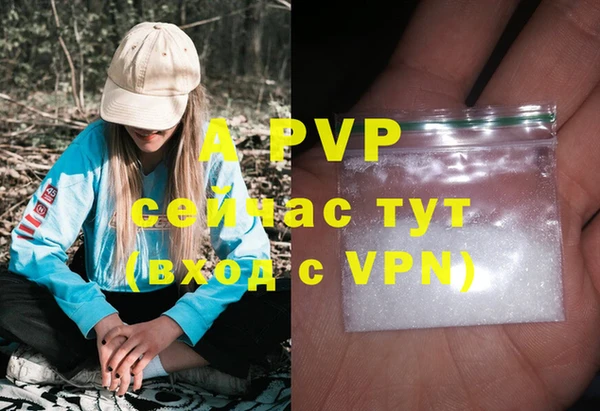 сатива Мегион