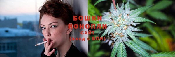 сатива Мегион
