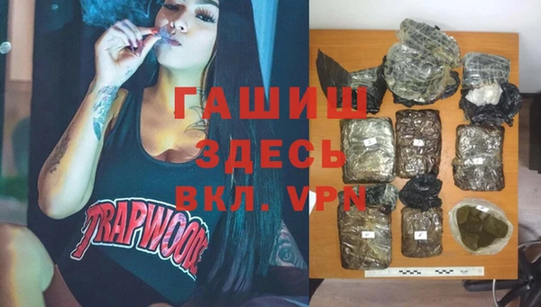 сатива Мегион