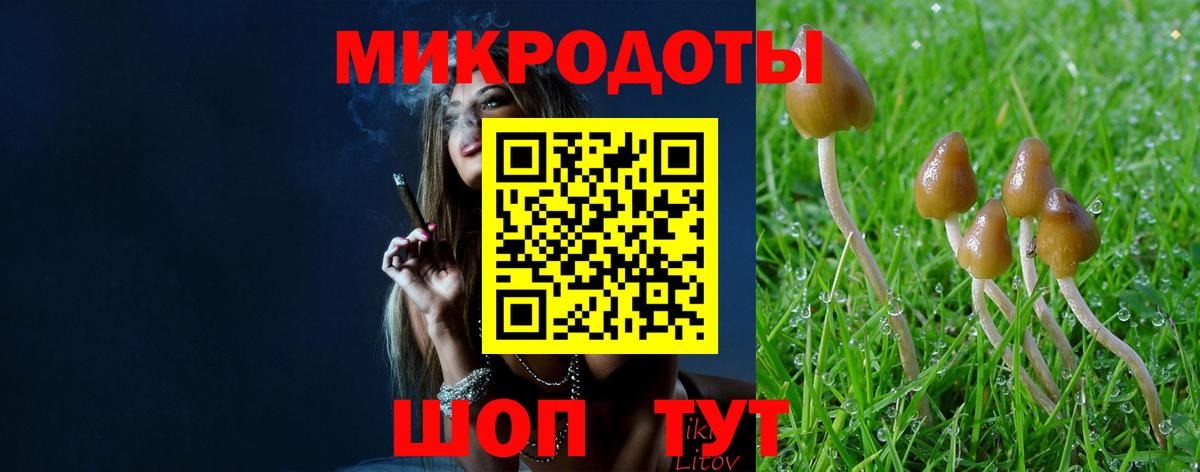 Галлюциногенные грибы ЛСД  Галлюциногенные грибы GOLDEN TEACHER  Полевской  Вход с VPN 